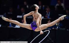 section modules overview